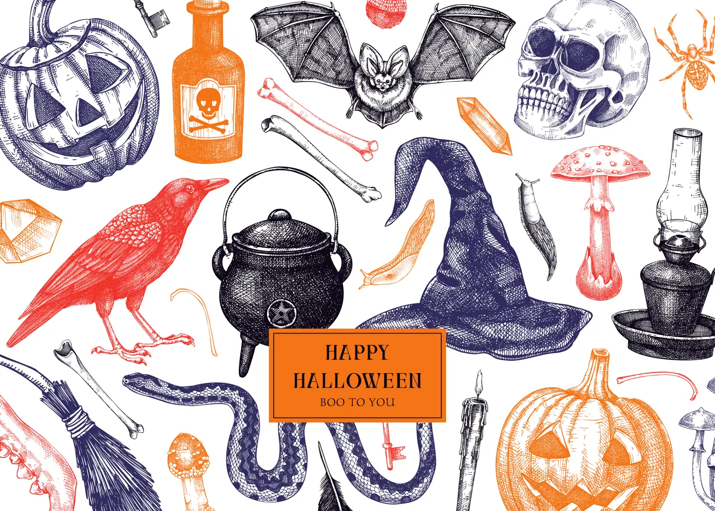 Halloween banner in color. Hand drawn vector illustration. Skulls, bones, pumpkin, poisonous mushrooms, snakes, raven, witch hat sketches. Autumn holiday design. Vintage Halloween party invitation Illustration
